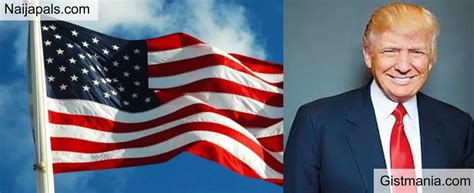US election: Donald Trump 7/4 favourite for White House return.